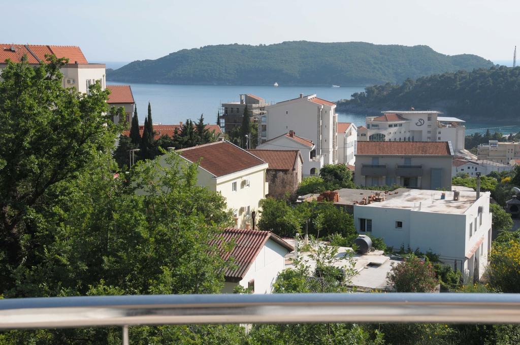 Dragana Villa *